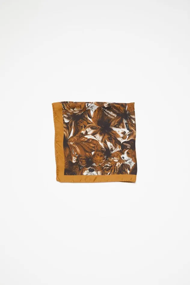 Acne Studios Print Silk Scarf Brown Women Scarves