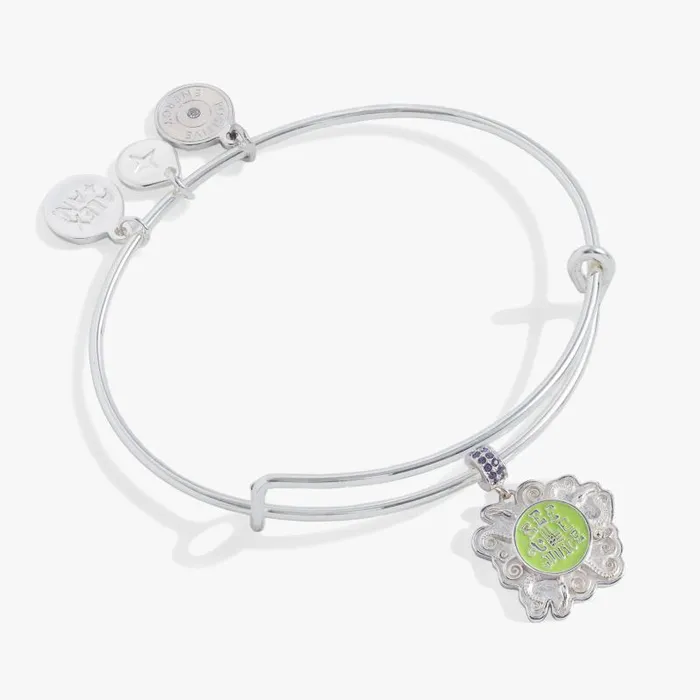 Bracelets Women Alex And Ani Beetlejuice Charm Bangle Silver