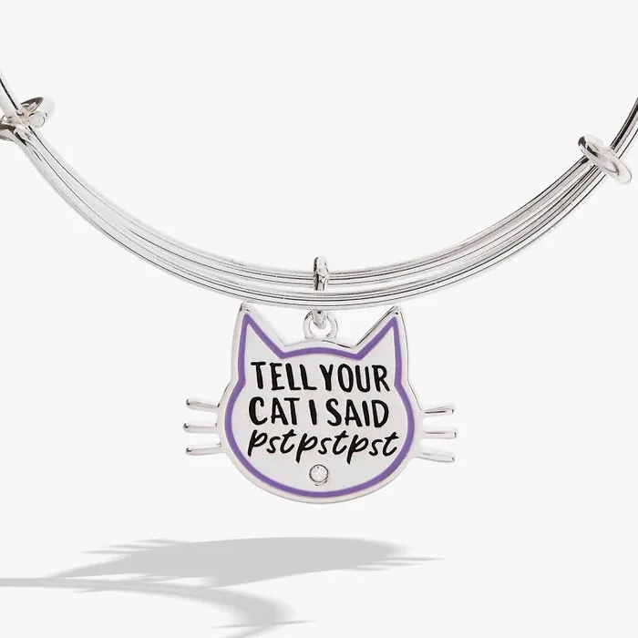 Bracelets Women Alex And Ani Tell Your Cat I Said Pst Pst Pst039 Bangle Silver