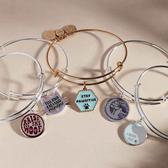 Bracelets Women Alex And Ani Tell Your Cat I Said Pst Pst Pst039 Bangle Silver