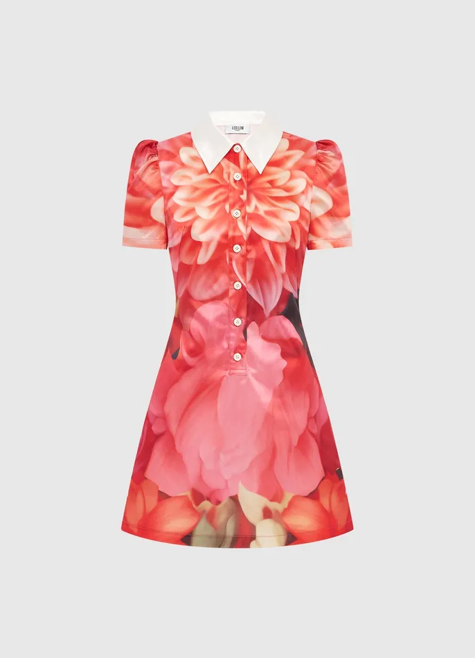 Brooke Mini Dress 8211 Kaleidoscope Print Women Dresses and Jumpsuits LEO LIN