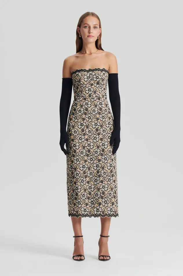 Dresses Women Scanlan Theodore EMBROIDERED FLORAL DRESS BLACKCREAM