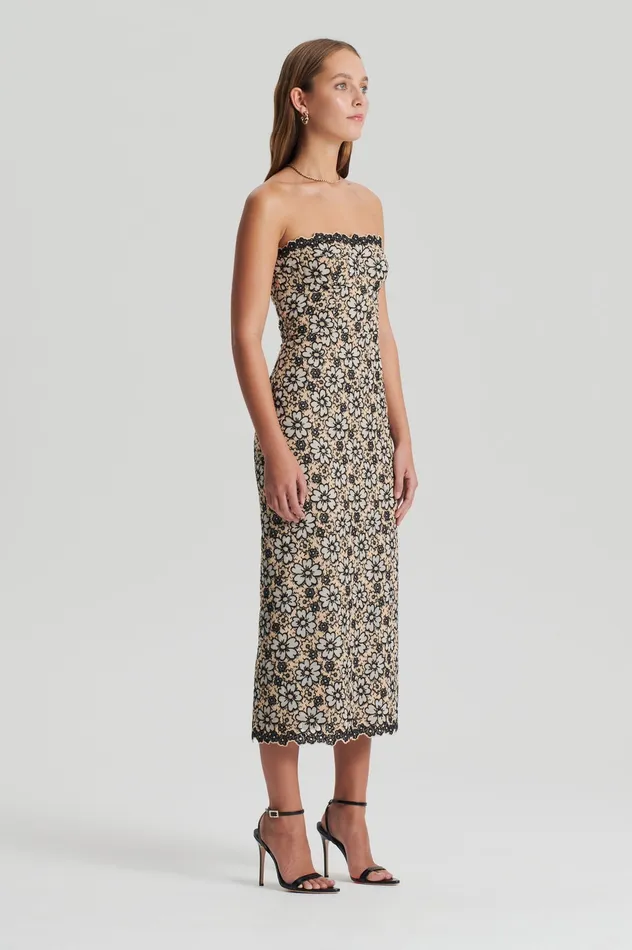 Dresses Women Scanlan Theodore EMBROIDERED FLORAL DRESS BLACKCREAM