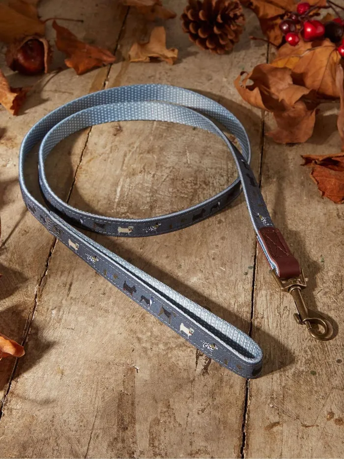 Fat Face Pet Accessories Grey Dogs Small Lead