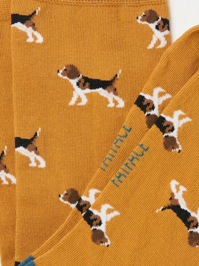 Fat Face Socks Yellow Beagle Socks 8211 Men