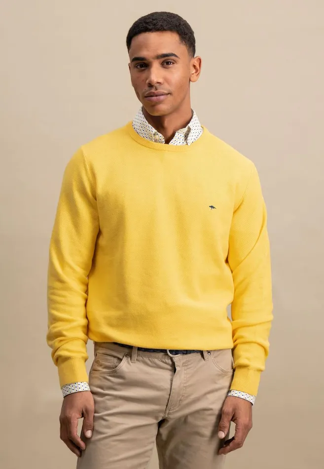 FYNCHHATTON Knitting Sweater Made Of 100 Cotton Vivid Yellownew Offwhiteturf Greensplashy Oceanstrong Bluenavypoppy Rednight Men Sweater