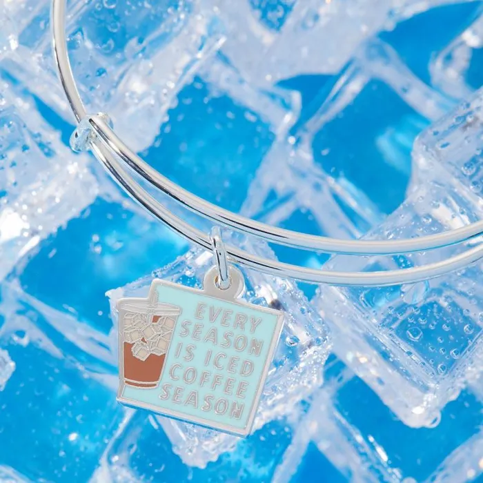 Iconic Women Alex And Ani Every Season Is Iced Coffee Season039 Charm Bangle Bracelet Shiny Silver