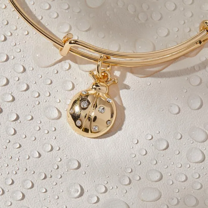 Iconic Women Alex And Ani Ladybug Charm Bangle Bracelet Gold