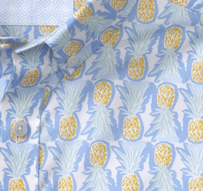 Johnston and Murphy Printed Cotton ShortSleeve Shirt Bluemulti Pineapple Men ShortSleeve Shirts Johnston and Murphy Printed Cotton ShortSleeve Shirt Bluemulti Pineapple Men ShortSleeve Shirts