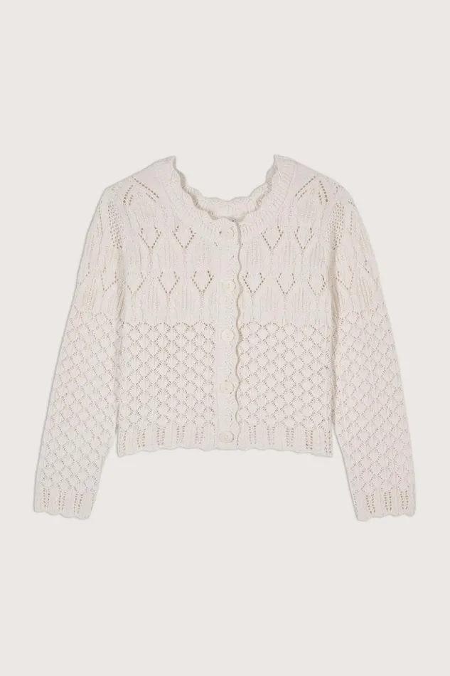 JumpCardigan Clothing Baandsh Sweaters and Cardigans