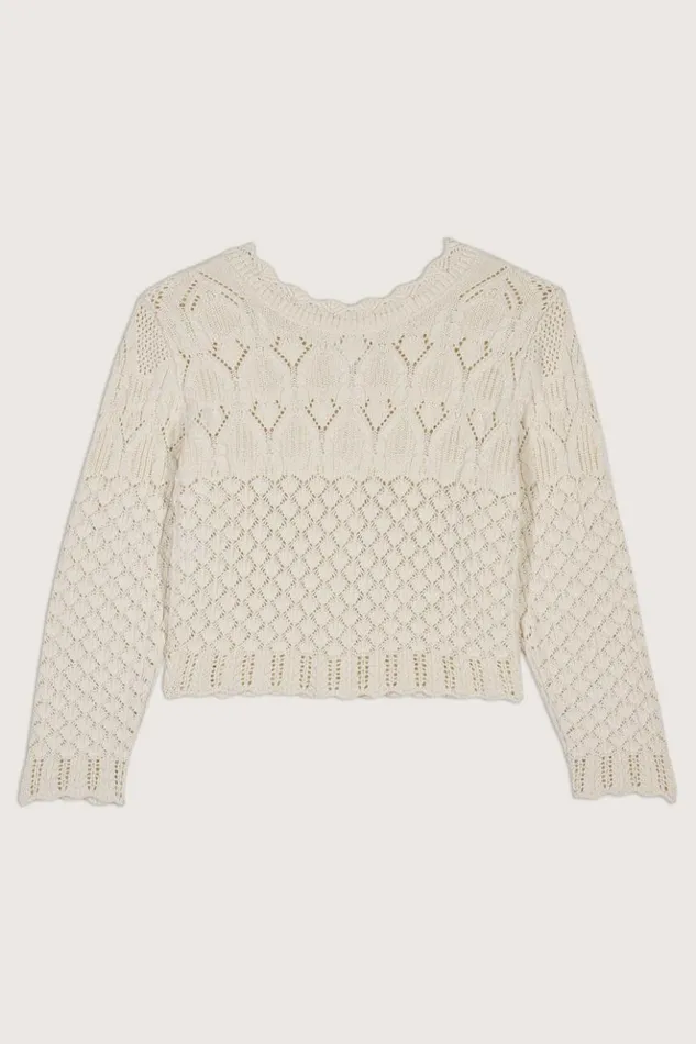 JumpCardigan Clothing Baandsh Sweaters and Cardigans