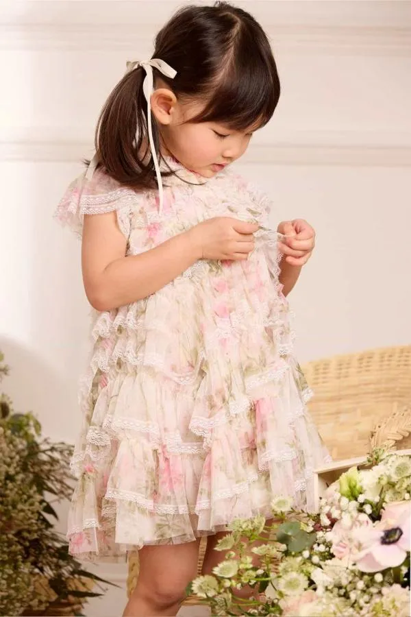 KIDS Needle and Thread Rose Ruffle Lace Baby Dress Multi