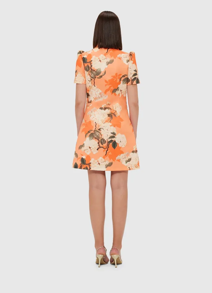 LEO LIN Brooke Mini Dress 8211 Hydrangea Print in Tangerine Women Dresses and Jumpsuits