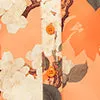 LEO LIN Brooke Mini Dress 8211 Hydrangea Print in Tangerine Women Dresses and Jumpsuits