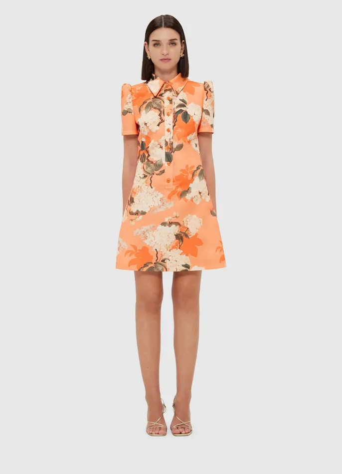 LEO LIN Brooke Mini Dress 8211 Hydrangea Print in Tangerine Women Dresses and Jumpsuits