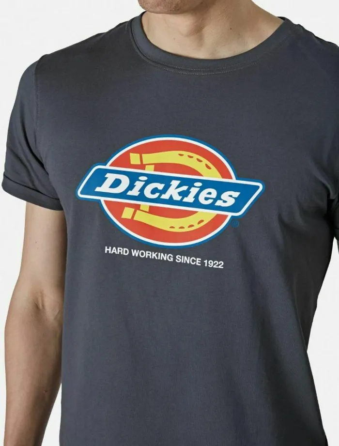 Men TShirts Dickies Denison TShirt Grey