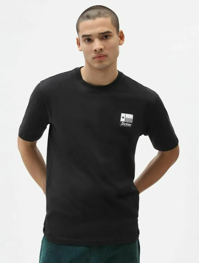 Men TShirts Dickies Taylor TShirt Black