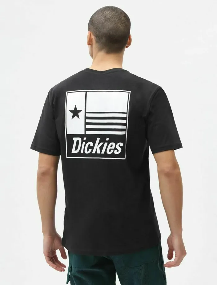 Men TShirts Dickies Taylor TShirt Black