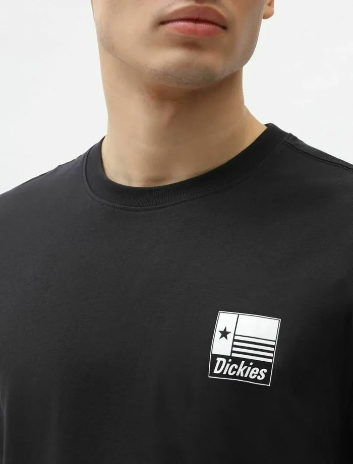 Men TShirts Dickies Taylor TShirt Black