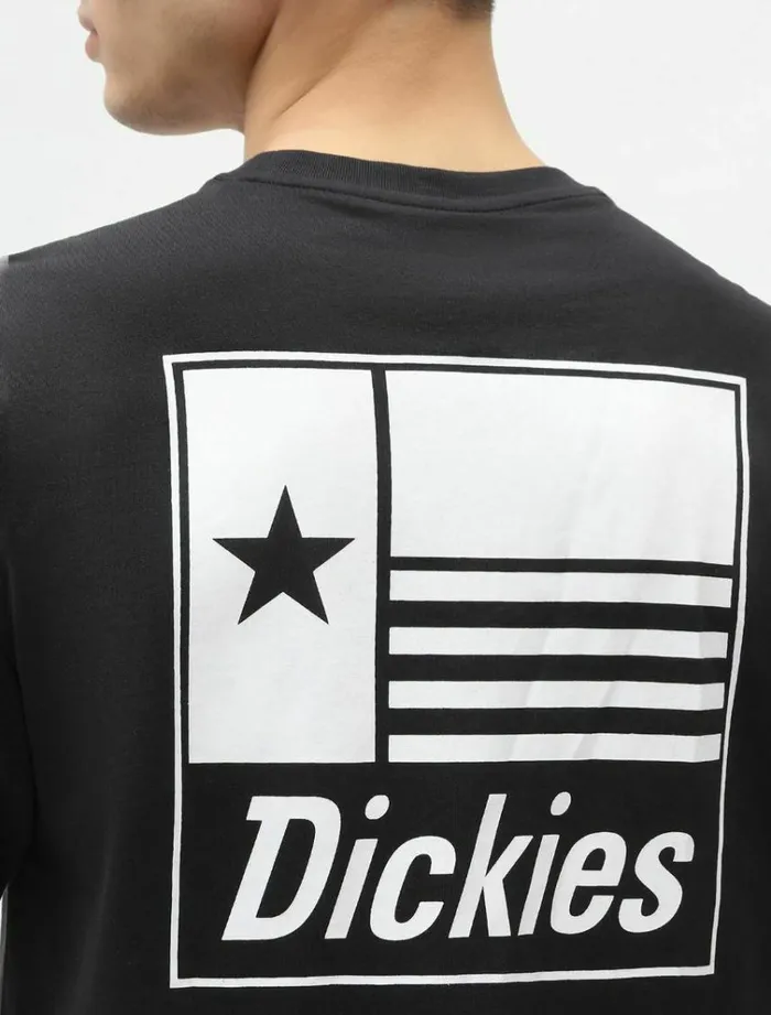 Men TShirts Dickies Taylor TShirt Black