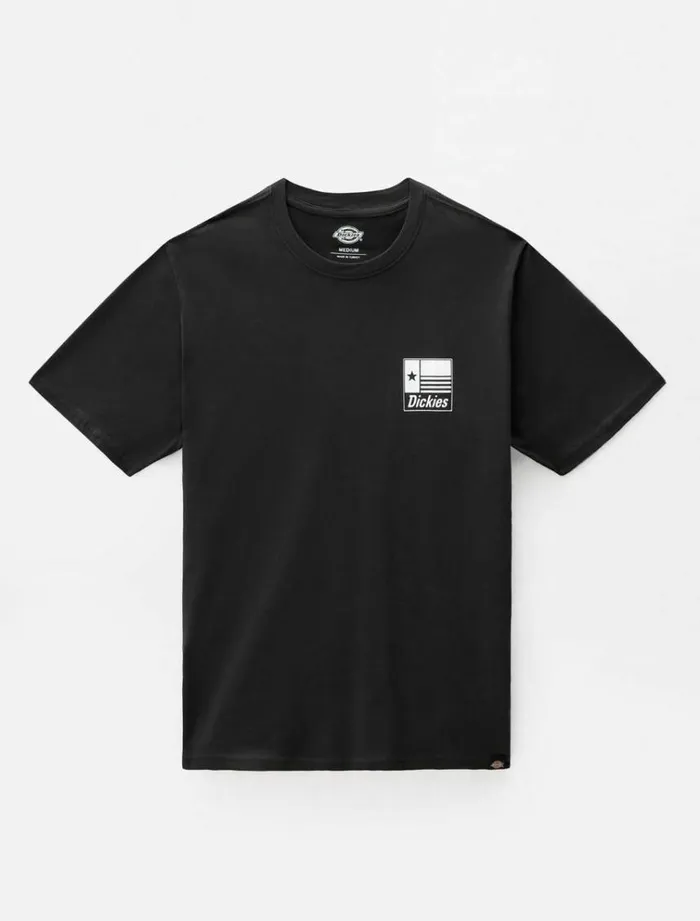 Men TShirts Dickies Taylor TShirt Black