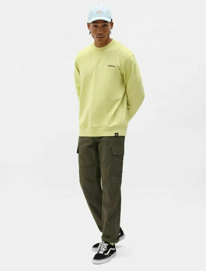 Men Trousers Dickies Millerville Cargo Pant Military Green