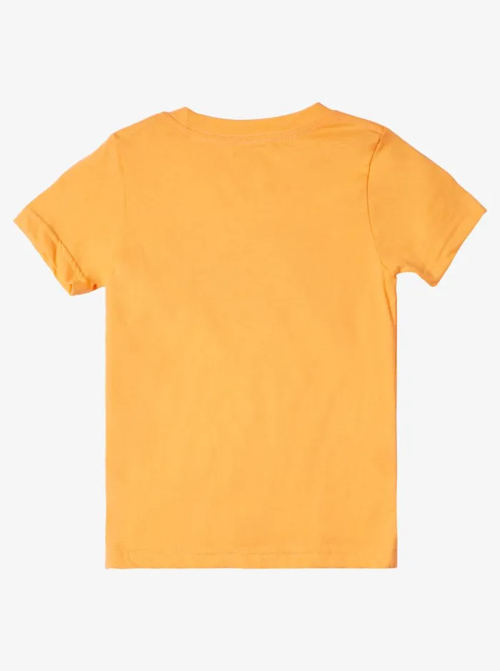 Quiksilver 816 Day Tripper TShirt Tangerine Boys Tees Quiksilver 816 Day Tripper TShirt Tangerine Boys Tees