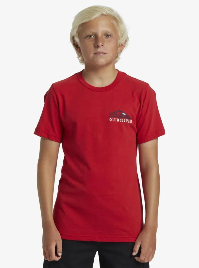 Quiksilver 816 Snake Charmer TShirt Salsa Boys Tees