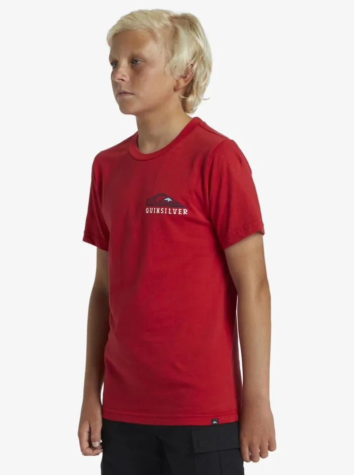 Quiksilver 816 Snake Charmer TShirt Salsa Boys Tees