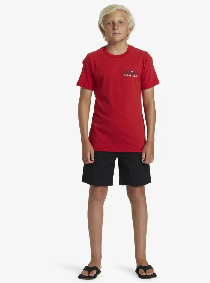 Quiksilver 816 Snake Charmer TShirt Salsa Boys Tees