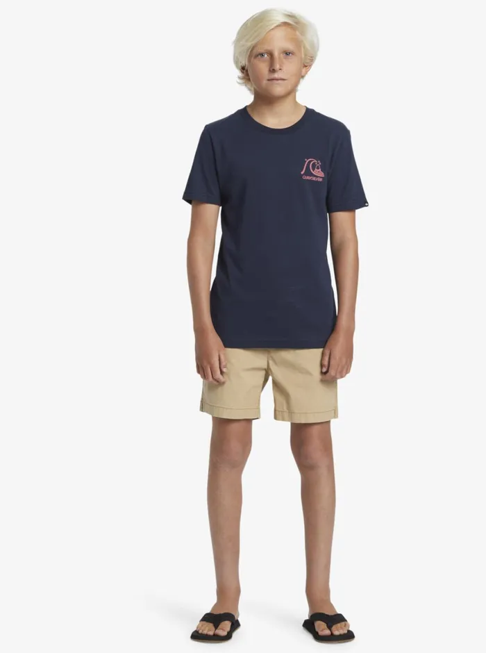 Quiksilver 816 Taxer Shorts Khaki Boys Shorts Quiksilver 816 Taxer Shorts Khaki Boys Shorts