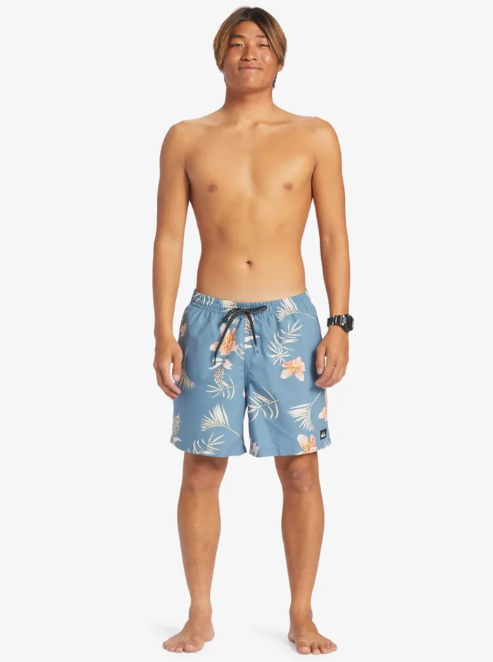 Quiksilver Everyday Mix 17034 Volleys Aegean Blue Mens Boardshorts Quiksilver Everyday Mix 17034 Volleys Aegean Blue Mens Boardshorts