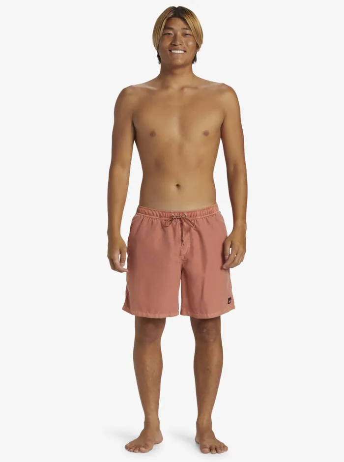 Quiksilver Everyday Surfwash Volley 17034 Elastic Waist Shorts Canyon Clay Mens Elastic Waist Quiksilver Everyday Surfwash Volley 17034 Elastic Waist Shorts Canyon Clay Mens Elastic Waist