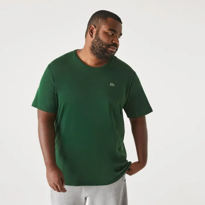 TShirts Men Lacoste Men039s Big Fit Crew Neck Cotton Jersey TShirt Pine Green 132 TShirts Men Lacoste Men039s Big Fit Crew Neck Cotton Jersey TShirt Pine Green 132