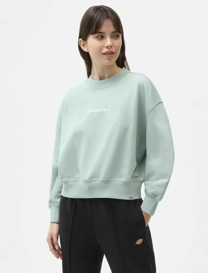 Women Jumpers and Sweatshirts Dickies Loretto Boxy Sweatshirt Jadeite