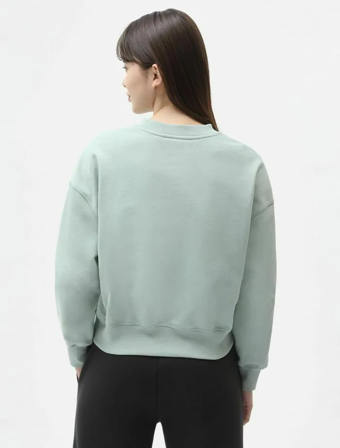 Women Jumpers and Sweatshirts Dickies Loretto Boxy Sweatshirt Jadeite