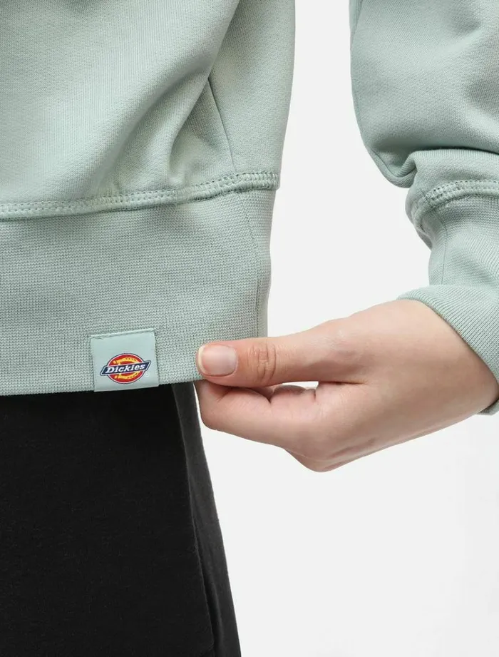 Women Jumpers and Sweatshirts Dickies Loretto Boxy Sweatshirt Jadeite