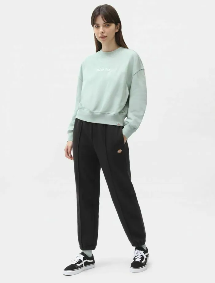 Women Jumpers and Sweatshirts Dickies Loretto Boxy Sweatshirt Jadeite