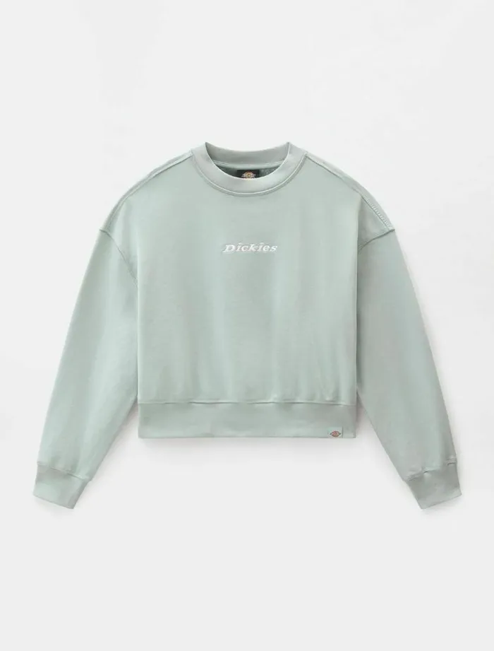Women Jumpers and Sweatshirts Dickies Loretto Boxy Sweatshirt Jadeite