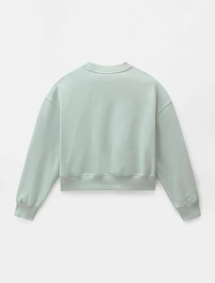Women Jumpers and Sweatshirts Dickies Loretto Boxy Sweatshirt Jadeite