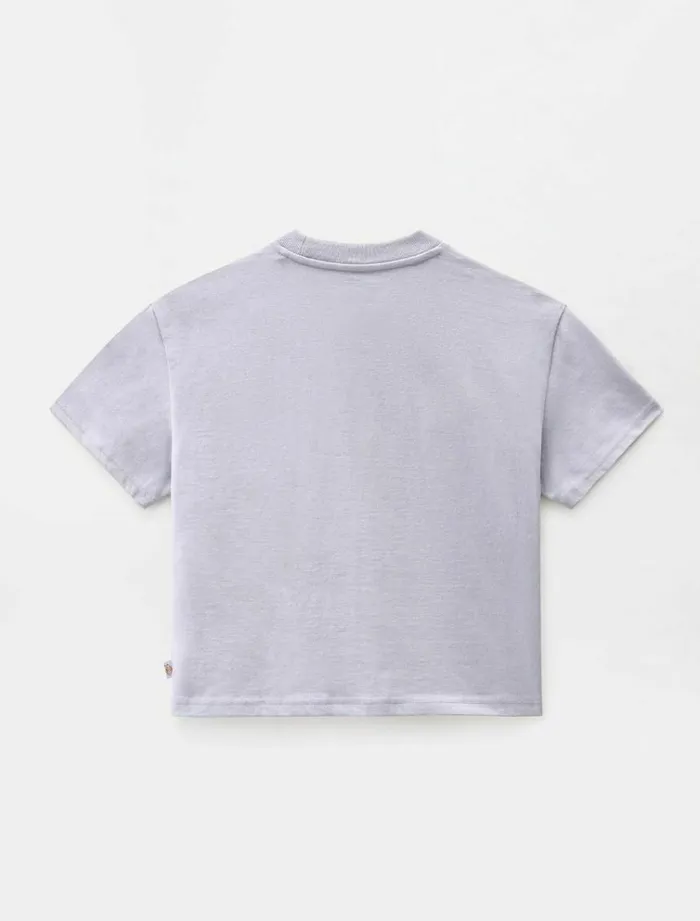 Women TShirts and Tops Dickies Porterdale Crop TShirt Lilac Gray