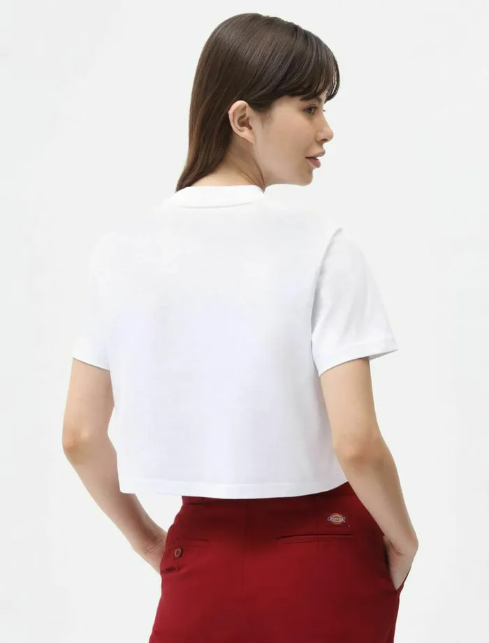 Women TShirts and Tops Dickies Porterdale Crop TShirt White