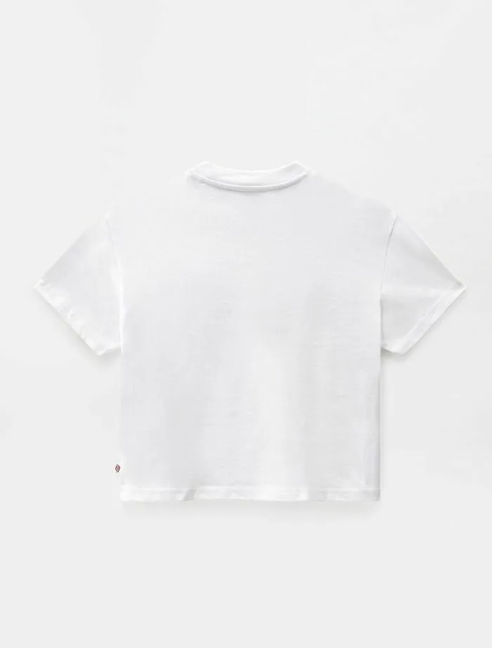 Women TShirts and Tops Dickies Porterdale Crop TShirt White