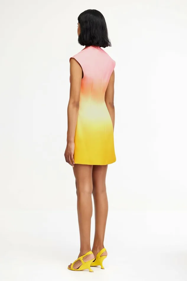 Women WARFIELD MINI DRESS Rising Sun Ombre Acler Mini Dresses